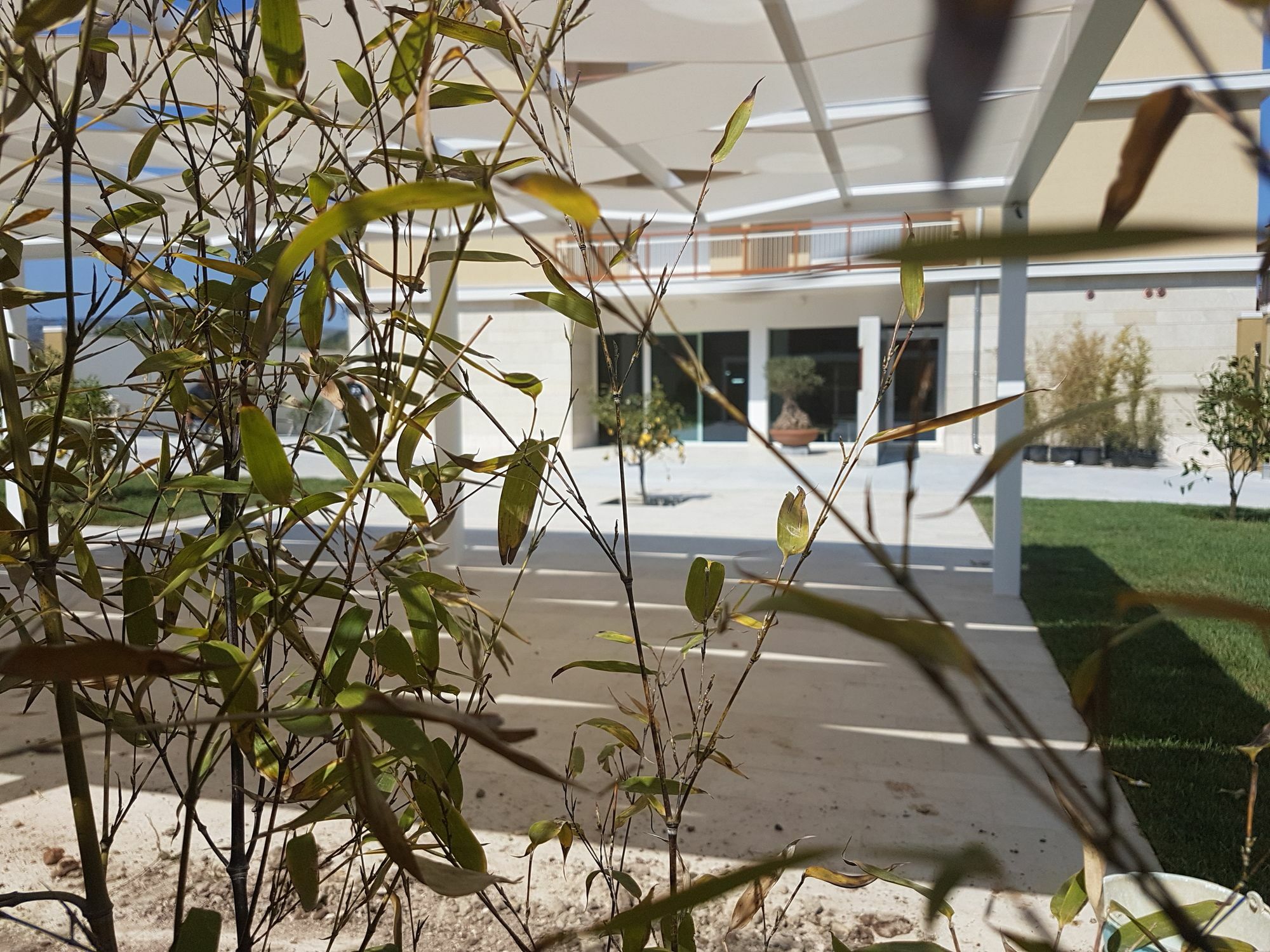 Netum Hotel Noto Bagian luar foto